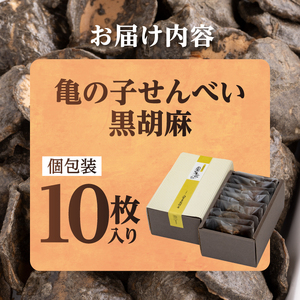 亀の子 煎餅 黒胡麻 10枚入り 個包装 手焼き 炭火 慶事 弔事 お取り寄せ せんべい [CD001]