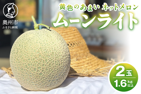 【令和8年産先行受付】黄色の甘い ネットメロン ムーンライト [T0025]