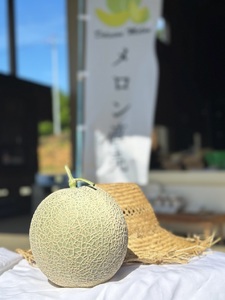 【令和8年産先行受付】黄色の甘い ネットメロン ムーンライト [T0025]