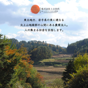 【令和8年産先行受付】黄色の甘い ネットメロン ムーンライト [T0025]