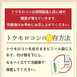 【先行予約】とうもろこし 大和ルージュ5本【数量限定】2026年9月上旬から出荷 離島配送不可 [T0030]