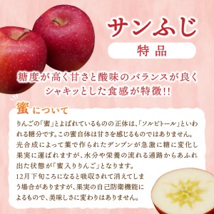 江刺りんご サンふじ 5kg（20～23玉） [AQ011]