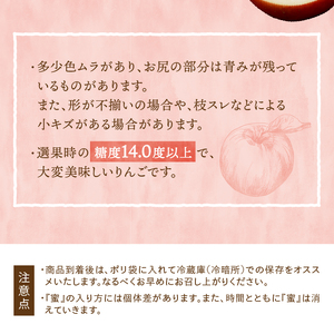 江刺りんご サンふじ 5kg（20～23玉） [AQ011]