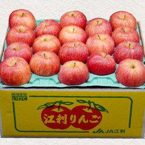 江刺りんご サンふじ 10kg（28～40玉）【2024年12月中お届け】 [AQ012]