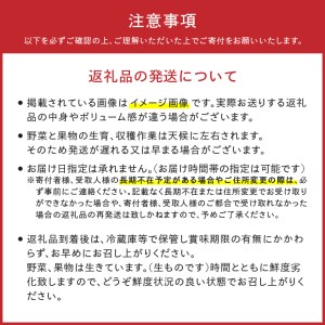 奥州市産りんごと岩手県産野菜セット【令和7年3月お届け】離島配送不可 [AQ020]