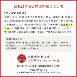 奥州市産りんごと岩手県産野菜セット【令和7年3月お届け】離島配送不可 [AQ020]