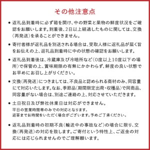 奥州市産りんごと岩手県産野菜セット【令和7年3月お届け】離島配送不可 [AQ020]