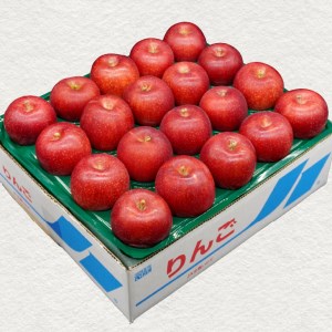奥州市産りんご 紅いわて 5kg (14～20玉)  【10月上旬以降お届け】 離島配送不可 [AQ024]