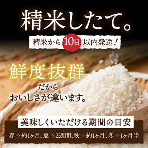 3人に1人がリピーター! ☆全2回定期便☆ 岩手ふるさと米 5kg×2ヶ月 令和7年産 一等米ひとめぼれ 東北有数のお米の産地 岩手県奥州市産【配送時期に関する変更不可】 [U0137]