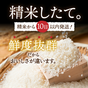 【12月2日より価格改定予定】3人に1人がリピーター! ☆全5回定期便☆ 岩手ふるさと米 5kg×5ヶ月 令和6年産 一等米ひとめぼれ 東北有数のお米の産地 岩手県奥州市産【配送時期に関する変更不可】 [U0140]