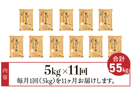 3人に1人がリピーター!☆全11回定期便☆ 岩手ふるさと米 5kg×11ヶ月（計55kg） 令和5年産 一等米ひとめぼれ 東北有数のお米の産地 岩手県奥州市産 [U0146]