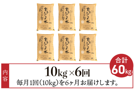 3人に1人がリピーター!☆全6回定期便☆ 岩手ふるさと米 10kg×6ヶ月 令和5年産 一等米ひとめぼれ 東北有数のお米の産地 岩手県奥州市産 [U0153]