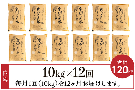 【12月2日より価格改定予定】3人に1人がリピーター!☆全12回定期便☆ 岩手ふるさと米 10kg×12ヶ月 令和6年産 一等米ひとめぼれ 東北有数のお米の産地 岩手県奥州市産【配送時期に関する変更不可】 [U0159]