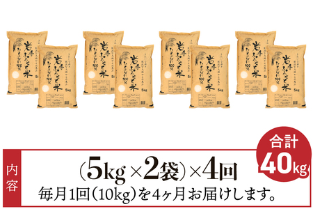 【12月2日より価格改定予定】3人に1人がリピーター!☆全4回定期便☆ 岩手ふるさと米 10kg(5㎏×2)×4ヶ月 令和6年産 一等米ひとめぼれ 東北有数のお米の産地 岩手県奥州市産【配送時期に関する変更不可】 [U0163]