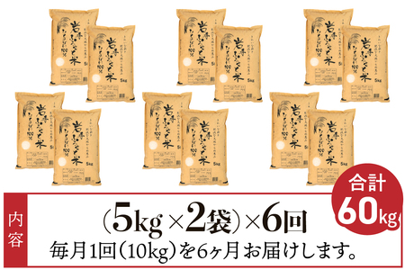 3人に1人がリピーター!☆全6回定期便☆ 岩手ふるさと米 10kg(5㎏×2)×6ヶ月 令和5年産 一等米ひとめぼれ 東北有数のお米の産地 岩手県奥州市産 [U0165]