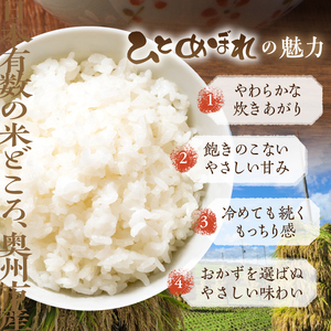 数量限定 令和7年産 岩手県奥州市産 特用ひとめぼれ 白米 20kg 生活応援 緊急支援 [AC039]