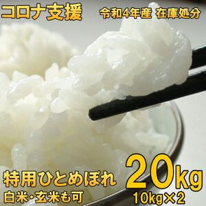 鳥取県産　ひとめぼれ　10キロ（令和５年新米）玄米対応可能