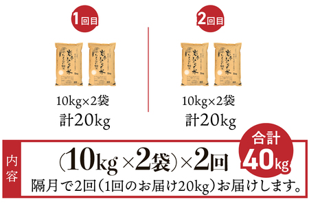 3人に1人がリピーター!☆2ヶ月ごとにお届け☆ 岩手ふるさと米 20kg(10kg×2)×2回 令和5年産 隔月定期便 一等米ひとめぼれ 東北有数のお米の産地 岩手県奥州市産 [U0178]