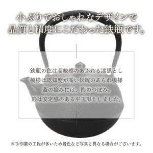 南部鉄器　鉄瓶　寒梅あられ鉄瓶　～ARARE～　1.2L [BE001]