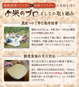 【玄米18kg】人気沸騰の米 令和6年産 岩手県奥州市産ひとめぼれ 玄米18キロ【14日以内発送】 [AC042]