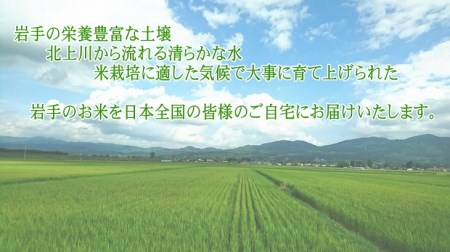 奥州市産ひとめぼれ 無洗米 令和5年産 20kg(5kg×4)【第三ライスセンター】 [BC002] 