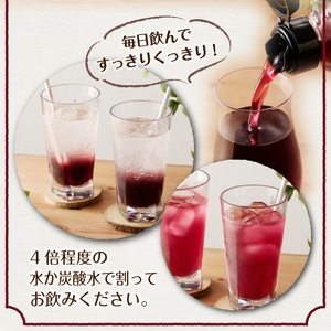 江刺産 GHベリー飲む酢2本セット [BB003]