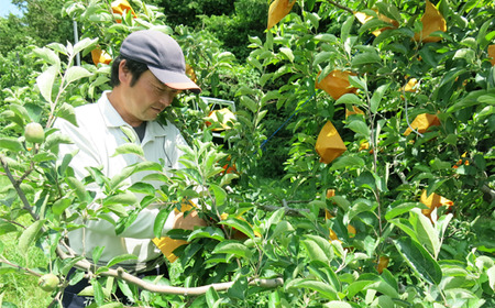 滝沢りんごジュース（５種類の中から種類おまかせ）720ml ３本 セット【小山田果樹園】 / 100% リンゴ ストレート