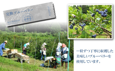 ブルーベリージュース ＜500ml 2本セット＞ ストレート果汁100％ 【岩手林業】 / ブルーベリー フルーツジュース くだもの 果物