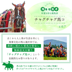 チャグチャグ馬コ柄 ミニ畳 ( オリジナル 畳べり 使用 )【盛岡畳工業】/ 畳 種類 おまかせ インテリア 和風 ディスプレイ 小物 小物置き 置物台 置物 飾り 飾り台 台座 玄関 リビング 寝室 茶の間 床の間 台 たたみ タタミ 豆畳 馬 ウマ うま おすすめ オススメ