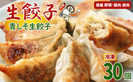 冷凍餃子 青しそ生餃子 30個入【生餃子専門店】 / 餃子 ギョーザ 惣菜 おかず