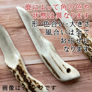 鹿の角 ペーパーナイフ 小 1個 右手用 【竜鹿】／ 鹿角 鹿 しか シカ グッズ 本物 加工 加工品 工芸 工芸品 クラフト ナイフ 右利き 日用品 雑貨 不揃い ふぞろい １個 人気 事務用品 事務 オフィス オフィス用品 文具 文房具 おすすめ