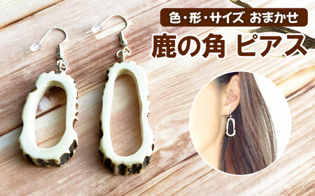 鹿の角 ピアス 丸型 【竜鹿】／ 鹿角 鹿 しか シカ グッズ 本物 加工