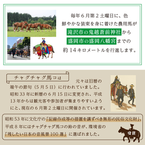 純米吟醸酒 ばっぱれ 300ml 3本 セット 【たきざわキッチン】 酒 お酒 地酒 日本酒 純米吟醸 吟醸酒 瓶 晩酌 食中酒 お取り寄せ お土産 おみやげ 土産 贈り物 縁起物 プレゼント ギフト チャグチャグ馬コ米 あきたこまち 使用 国産 常温 常温保管 常温保存 人気 おすすめ