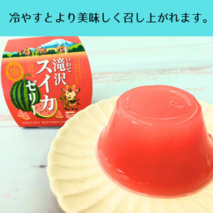 いわて 滝沢 スイカ ゼリー 6個 セット 【岩手県産】／ 滝沢西瓜 滝沢スイカ 滝沢すいか 西瓜 すいか フルーツゼリー 果物 くだもの フルーツ 果汁 甘い おやつ デザート 加工品 プレゼント ギフト お菓子 おかし 内祝い 誕生日 お祝い 御礼 お見舞い 名産 特産 ６個 おすすめ