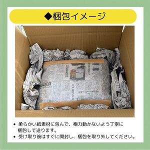 多肉植物 おまかせ 5個 セット 【多肉屋GPK】／ インテリア インテリア植物 おしゃれインテリア オシャレ おしゃれ 多肉 観葉植物 植物 おまかせセット 人気 高評価 贈答 贈り物 趣味 ギフト プレゼント ナチュラル 自然 かわいい ミニサイズ 玄関 室内 飾れる ５個 オススメ おすすめ