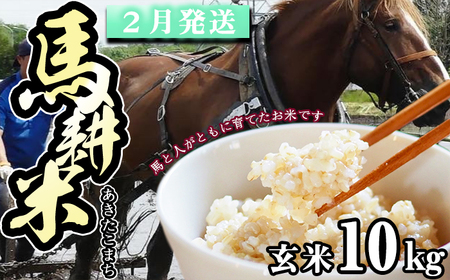 【 2026年 2月中旬より発送】 岩手県産 馬耕米 あきたこまち 玄米 10kg 【スタディア】 お米 米 こめ コメ 馬ふん堆肥 使用 ご飯 ごはん ライス おにぎり 弁当 単一原料米 10キロ 10kg 馬耕 馬 ウマ うま 産地直送 国産 おすすめ 人気 自宅用 家庭用 仕送り プレゼント 常温 常温発送
