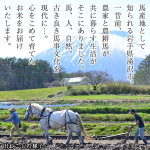 【 2026年 2月中旬より発送】 岩手県産 馬耕米 あきたこまち 玄米 10kg 【スタディア】 お米 米 こめ コメ 馬ふん堆肥 使用 ご飯 ごはん ライス おにぎり 弁当 単一原料米 10キロ 10kg 馬耕 馬 ウマ うま 産地直送 国産 おすすめ 人気 自宅用 家庭用 仕送り プレゼント 常温 常温発送