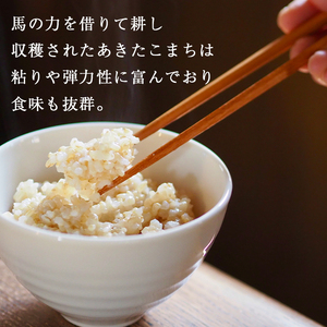 【 2026年 2月中旬より発送】 岩手県産 馬耕米 あきたこまち 玄米 10kg 【スタディア】 お米 米 こめ コメ 馬ふん堆肥 使用 ご飯 ごはん ライス おにぎり 弁当 単一原料米 10キロ 10kg 馬耕 馬 ウマ うま 産地直送 国産 おすすめ 人気 自宅用 家庭用 仕送り プレゼント 常温 常温発送