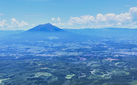 岩手県産 野菜セット 10品 12ヶ月 定期便 ／ 野菜 やさい 詰め合わせ 詰合せ 詰合わせ 旬 新鮮 国産 季節 季節野菜 おまかせ 春野菜 夏野菜 秋野菜 山菜 葉野菜 葉物 根菜 果菜 冷蔵 冷蔵発送 家庭用 自宅用 仕送り 人気 おすすめ 岩手県 滝沢 滝沢市