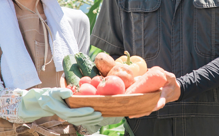 岩手県産 野菜セット 10品 12ヶ月 定期便 ／ 野菜 やさい 詰め合わせ 詰合せ 詰合わせ 旬 新鮮 国産 季節 季節野菜 おまかせ 春野菜 夏野菜 秋野菜 山菜 葉野菜 葉物 根菜 果菜 冷蔵 冷蔵発送 家庭用 自宅用 仕送り 人気 おすすめ 岩手県 滝沢 滝沢市