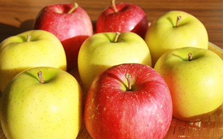 岩手県産 りんご 家庭用 3kg 約 8玉 から 11玉 ／【フルーツファームおやまだ】 品種 おまかせ リンゴ 林檎 アップル 3キロ ３kg 果物 くだもの フルーツ デザート 自宅用 仕送り 季節限定 期間限定 旬 お取り寄せ 農家直送 贈り物 ギフト おすすめ オススメ