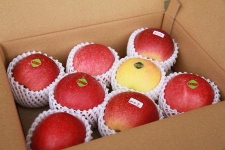 岩手県産 りんご 家庭用 3kg 約 8玉 から 11玉 ／【フルーツファームおやまだ】 品種 おまかせ リンゴ 林檎 アップル 3キロ ３kg 果物 くだもの フルーツ デザート 自宅用 仕送り 季節限定 期間限定 旬 お取り寄せ 農家直送 贈り物 ギフト おすすめ オススメ