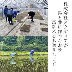 【 2026年 2月中旬より発送】 岩手県産 馬耕米 あきたこまち 精米 10kg 【スタディア】 白米 お米 米 こめ コメ 馬ふん堆肥 使用 ご飯 ごはん ライス おにぎり 弁当 単一原料米 10キロ 10kg 馬耕 馬 ウマ うま 産地直送 国産 おすすめ 人気 自宅用 家庭用 仕送り プレゼント 常温 常温発送