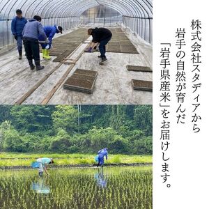 【 2026年 2月中旬より発送】 令和7年産 岩手県産米 精米 10kg 【スタディア】 単一原料米 岩手県産 白米 お米 米 こめ おこめ コメ ご飯 ごはん ライス おにぎり 弁当 お弁当 お弁当向き 10キロ １０kg 産地直送 国産 オススメ おすすめ 人気