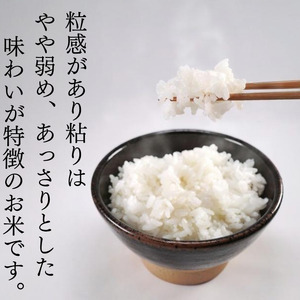 【 2026年 2月中旬より発送】 令和7年産 岩手県産米 精米 10kg 【スタディア】 単一原料米 岩手県産 白米 お米 米 こめ おこめ コメ ご飯 ごはん ライス おにぎり 弁当 お弁当 お弁当向き 10キロ １０kg 産地直送 国産 オススメ おすすめ 人気