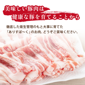 ありすぽーく ハンバーグ 150g 5個 ／ 豚 豚肉 総菜 惣菜