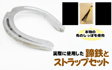 蹄鉄 （ 鉄製 シルバー ）& 馬のしっぽの毛 ストラップ （ 栗毛 ） 【馬っこパーク・いわて】／ てい鉄 さび止め 錆止め サビ止め 銀 銀色 鉄 加工 馬毛 尻尾 幸運 開運 厄除け 魔除け アイテム 本物 インテリア アクセサリー おすすめ 10,360円