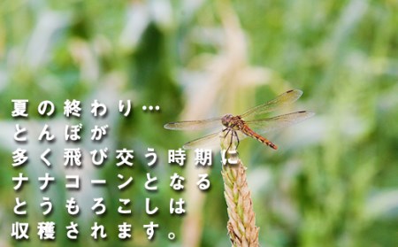 なないろ農園のとうもろこし ナナコーン 7本  ／ とうもろこし スイートコーン 食塩不使用 真空パック 【TAKIZAWA　CORNS】