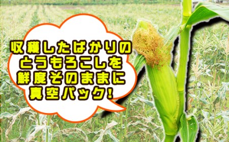 なないろ農園のとうもろこし ナナコーン 5本 & タケダポップコーン 2種 計4袋 ／ とうもろこし スイートコーン ポップコーン 【TAKIZAWA　CORNS】