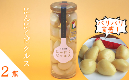 岩手県産 にんにく 使用！ 岩手山麓 にんにくピクルス 120g 2瓶 【岩手ガーリック】 にんにく ニンニク 大蒜 ガーリック ピクルス 漬け物 漬物 つけもの 国産 自然食品 加工食品 食品 長期保存 保存食 瓶 瓶詰め 常温 野菜 人気 お取り寄せ おすすめ